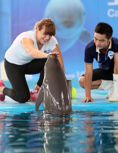 表率作用 表率作用